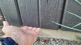 20230511_085339.jpg