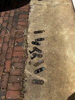 IMG_0306.jpeg