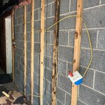IMG_1466.jpeg