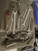 IMG_1040.jpeg