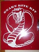 snake bite.jpg