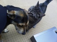 IMG-20120328-00094.jpg