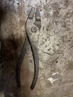 IMG_1179.jpeg