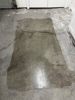 IMG_1539.jpeg