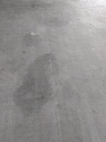 PXL_20230524_180909675.jpg