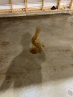 IMG_0936.jpeg