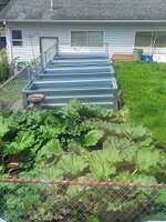 rRAISED GARDEN BEDS.jpg