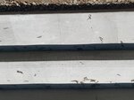 IMG_2899.jpg