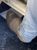 IMG_6548.jpeg