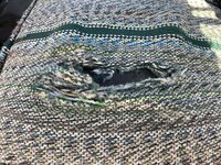 IMG_6544.jpeg