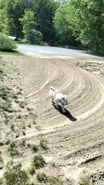 IMG_20230526_152930.jpg