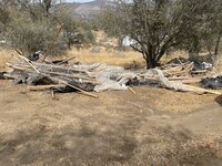 IMG_2596.jpeg