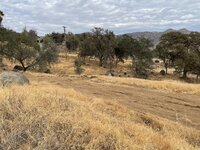 IMG_2665.jpeg