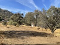 IMG_3035.jpeg