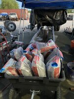 IMG_2325.jpeg
