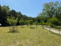 IMG_3491.jpg