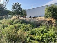 IMG_7220.jpeg