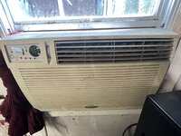IMG_1575.jpeg