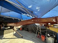 IMG_2419.jpeg