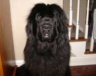 IMG_0019.jpeg