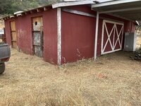 IMG_7246.jpeg