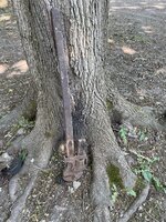 IMG_1315.jpeg