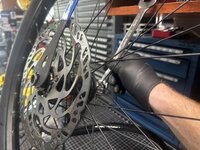 IMG_3658.jpeg IMG_3658.jpeg