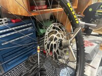 IMG_3679.jpeg IMG_3679.jpeg