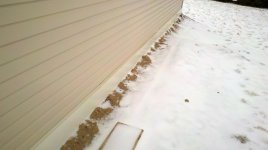 North side snow.jpg