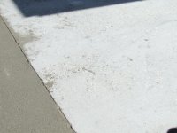 MGK Gas Skim coat 11x12 final.jpg