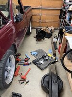 IMG_6585.jpeg IMG_6585.jpeg