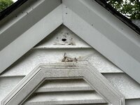 IMG_3339.jpeg