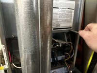 IMG_3747.jpeg IMG_3747.jpeg