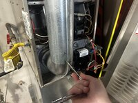 IMG_3835.jpeg IMG_3835.jpeg