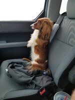 20210211_075250.jpeg