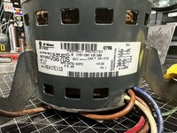 IMG_3903.jpeg IMG_3903.jpeg