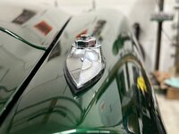 IMG_6237.jpg