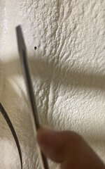 IMG_4341.jpeg