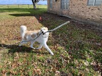IMG_1068.jpeg