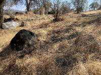 IMG_2939.jpeg