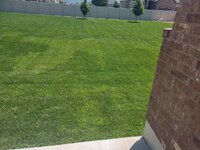 lawn2.jpg lawn2.jpg