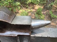 IMG_3946.jpeg