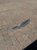 IMG_3775.jpg IMG_3775.jpg
