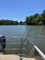 IMG_4666.jpeg IMG_4666.jpeg