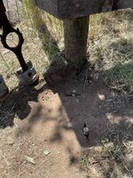 IMG_7105.jpeg