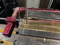 IMG_4083.jpeg IMG_4083.jpeg