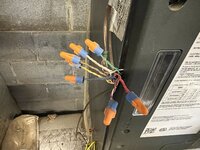 IMG_5747.jpeg