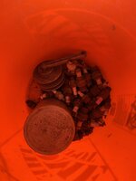IMG_6646.jpeg