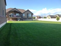 yard2.jpg