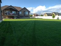 yard4.jpg